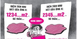 Hướng dẫn giải quyết tranh chấp đất đai