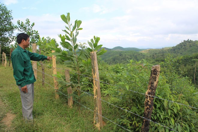 tranh chấp đất đai với h&agrave;ng x&oacute;m