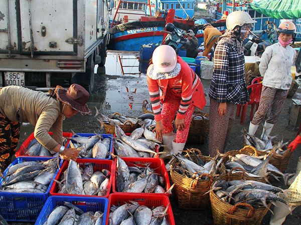 vụ &aacute;n l&yacute; h&ocirc;n v&agrave; nguy&ecirc;n tắc ph&acirc;n chia t&agrave;i sản