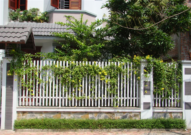 x&acirc;y dựng tường r&agrave;o