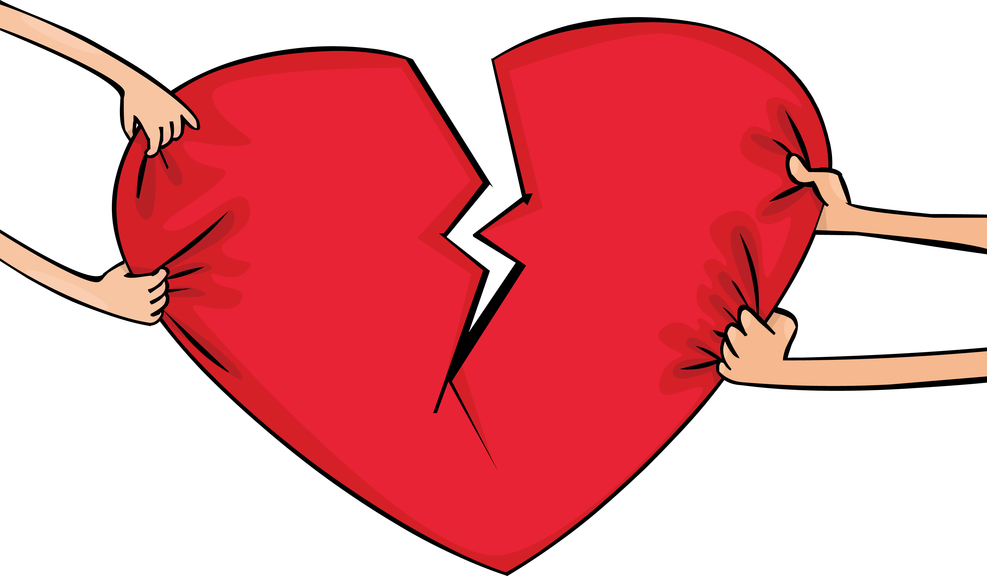 Th&ocirc;ng tin về dự &aacute;n l&yacute; h&ocirc;n đơn phương