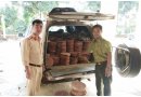 Hà Nội: Thu giữ hơn 500 chiếc thớt gỗ nghiến lậu