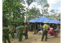 Bộ đội Biên phòng lên tiếng vụ gỗ lậu Phượng “râu”