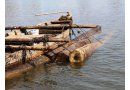 Lâm tặc phi tang gỗ lậu xuống sông rồi tẩu thoát