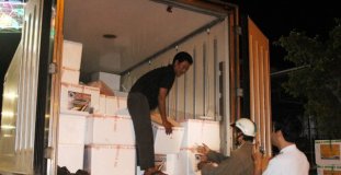 Phát hiện hàng triệu con tôm giống chưa qua kiểm dịch